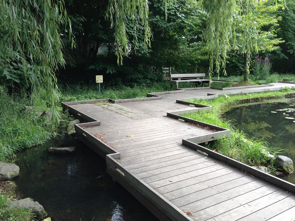 Ono Pond at Hokkaido University (北海道大学大野池) by 8823 hayabusa