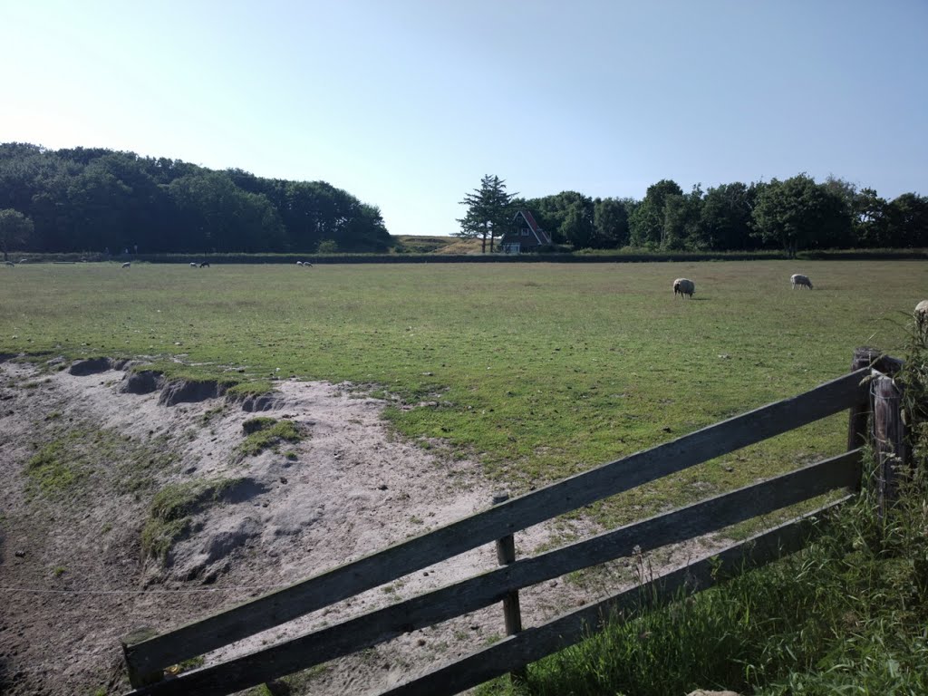 Texel - Hoge Berg - Nature Walk - View NW by txllxt TxllxT