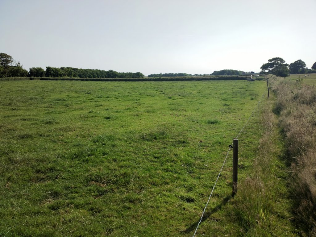 Texel - Hoge Berg - Nature Walk - View SW by txllxt TxllxT