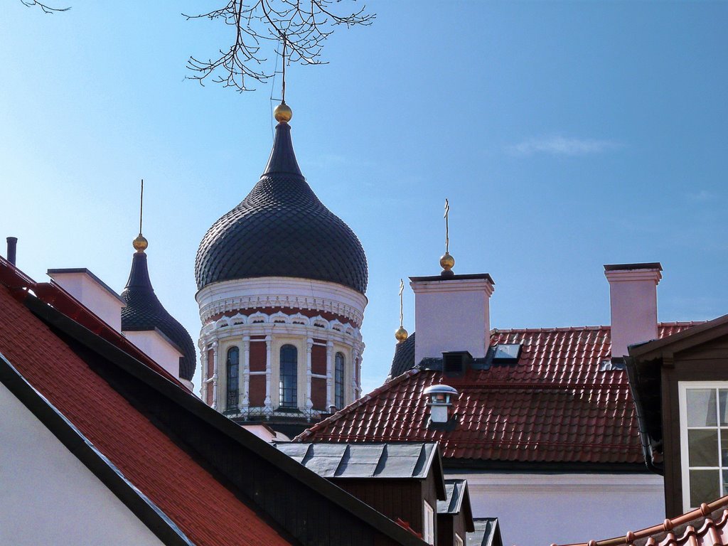 Tallinn, Estonia. by Nicola Baltico