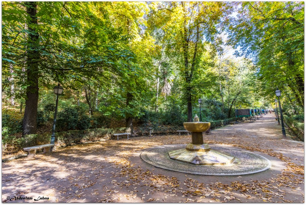 Paseando por el Bosque de La Alhambra by Abdeslam Lahna