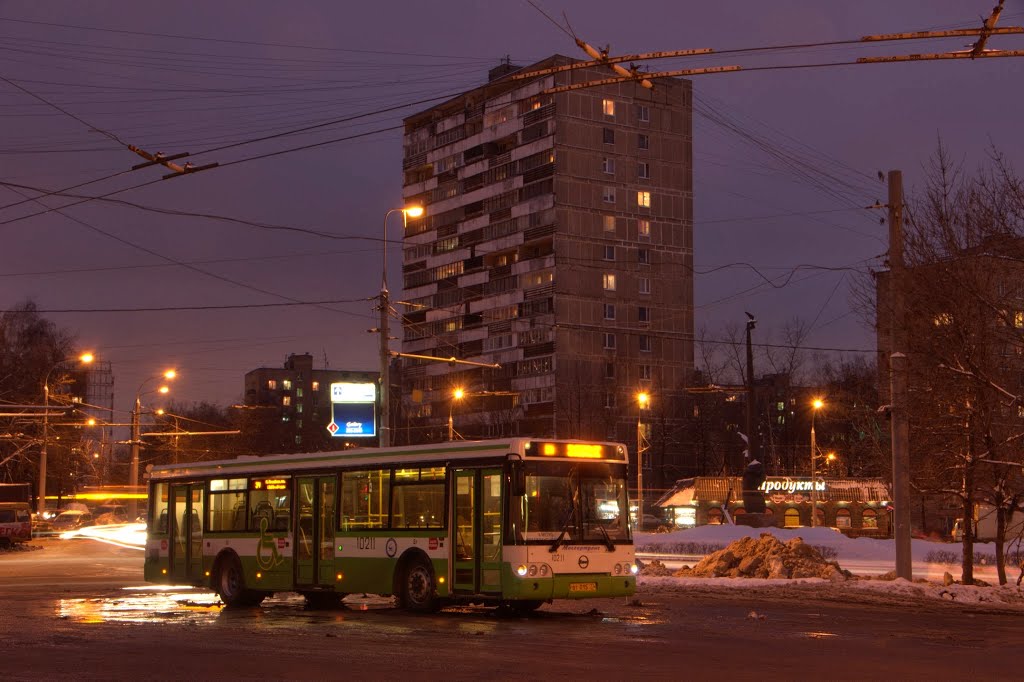 Severnoye Izmaylovo District, Moscow, Russia by Svetlov Artem