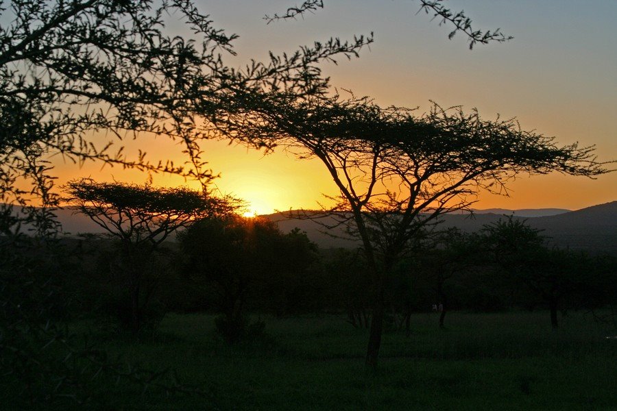 Bayala, African Landscape by Banja-Frans Mulder