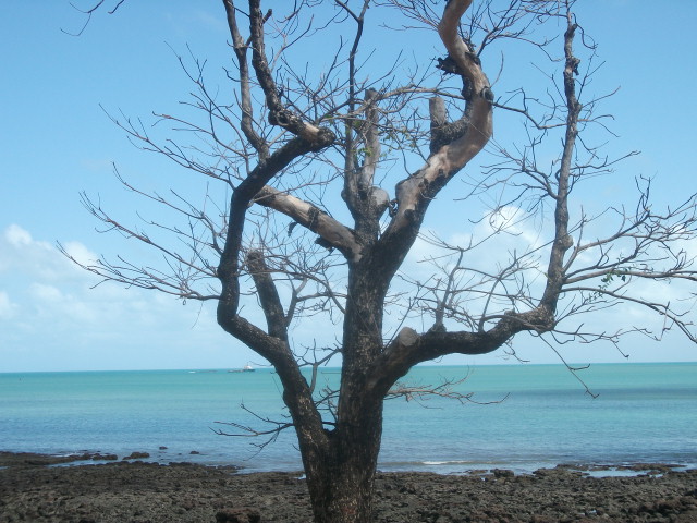 PRAIA - FORTALEZA - CEARÁ - BRAISL by simao CARLOS