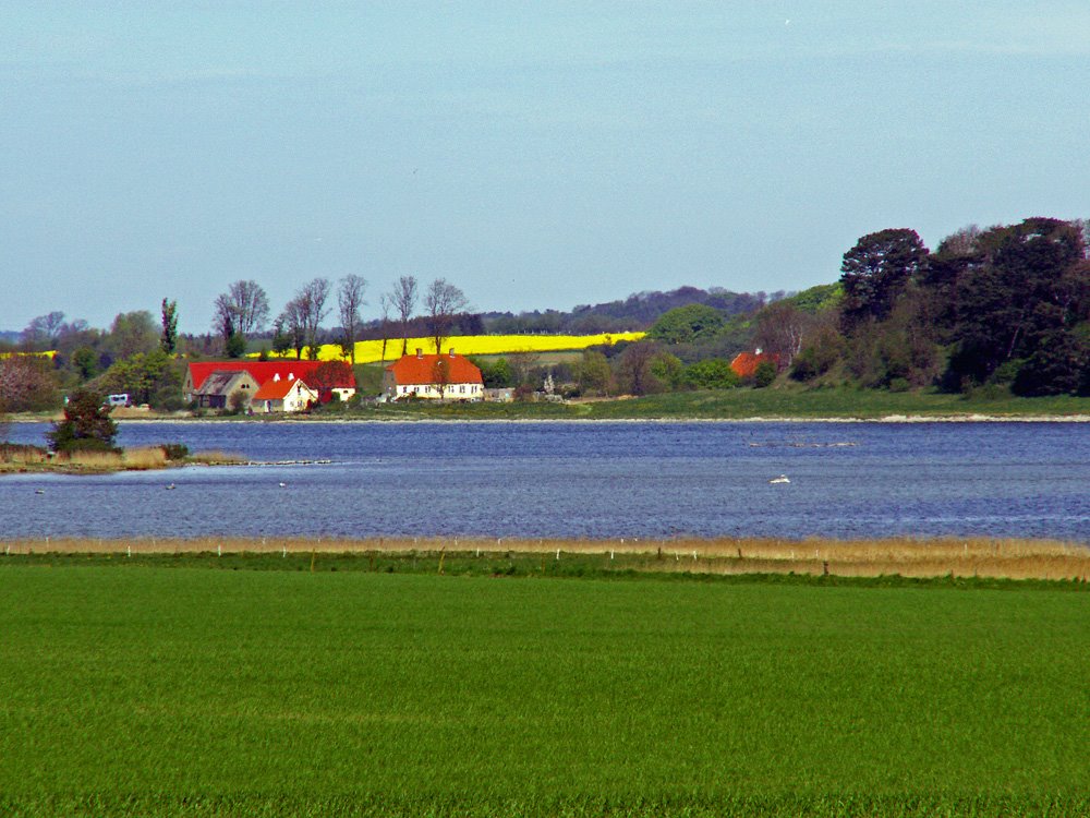 Møllekrog set fra Gershøj by Claude David