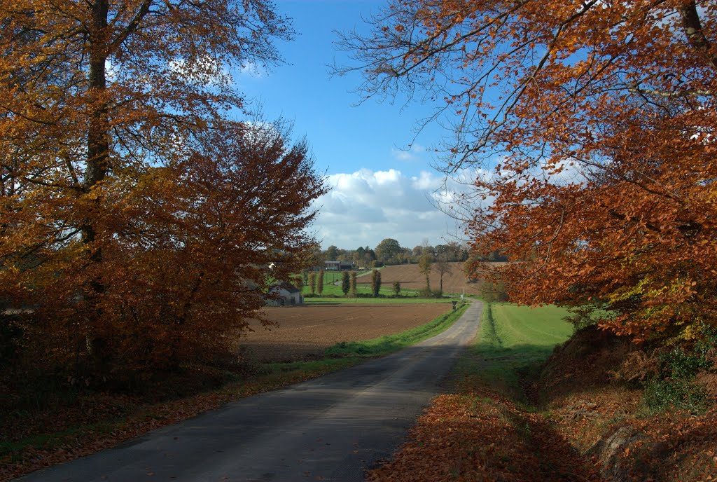 Betton, France by panoramio1415