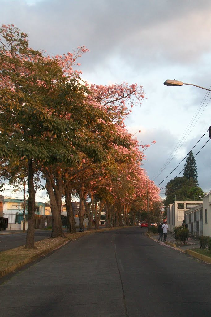 Nunciatura, Provincia de San José, San José, Costa Rica by Gustavo Paz