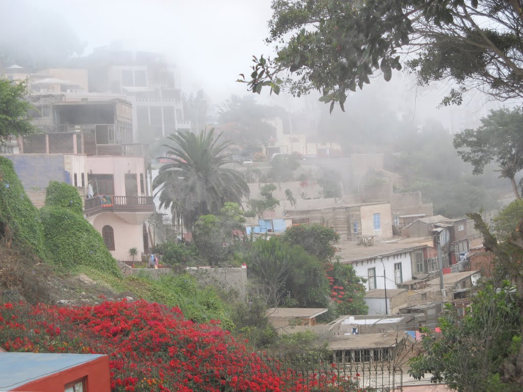 Barranco on a foggy day by Eva Lewitus