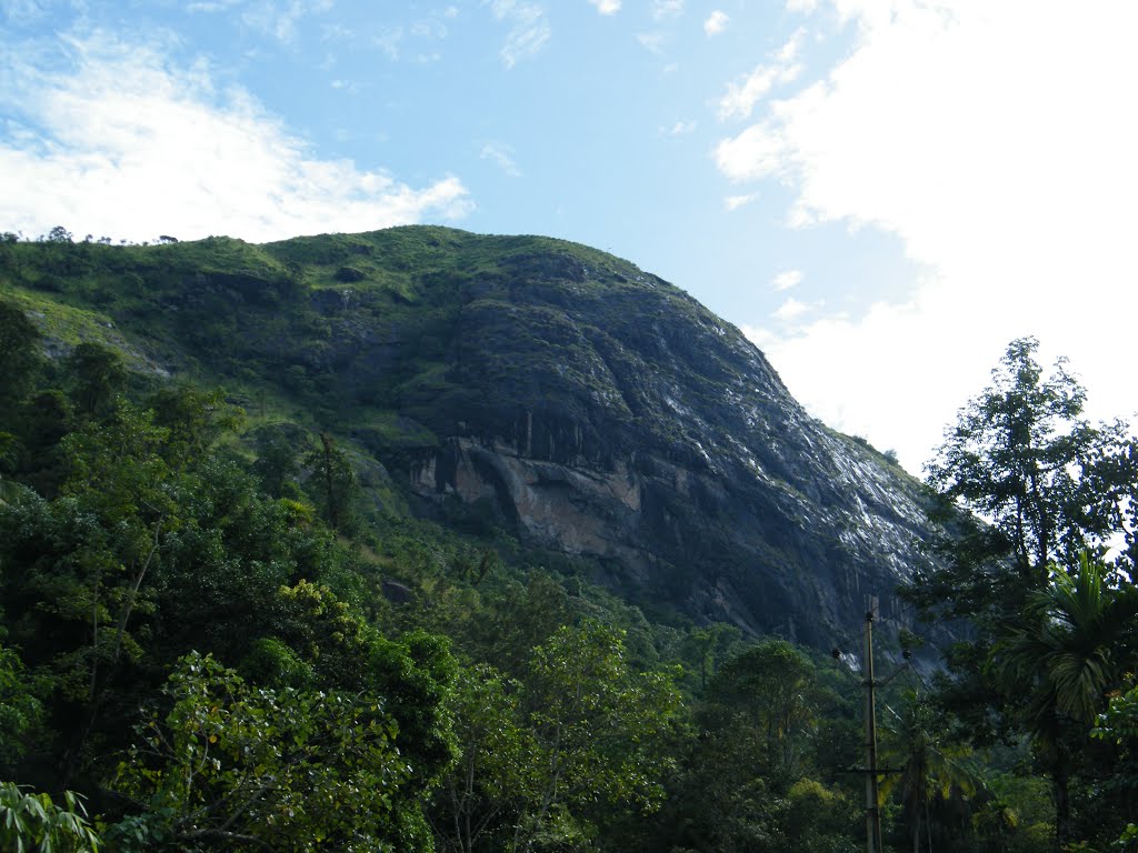 CHITHIRAPURAM MUNNAR travel views by sabukeralam & travelviewsonline by sabukeralam