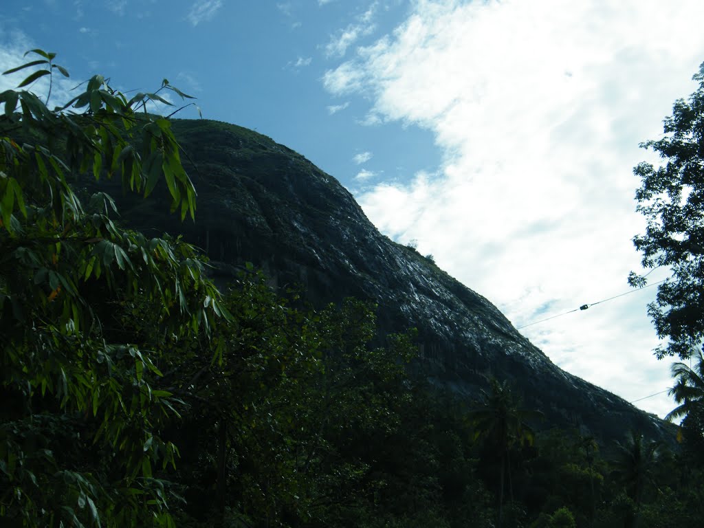 CHITHIRAPURAM MUNNAR travel views by sabukeralam & travelviewsonline by sabukeralam