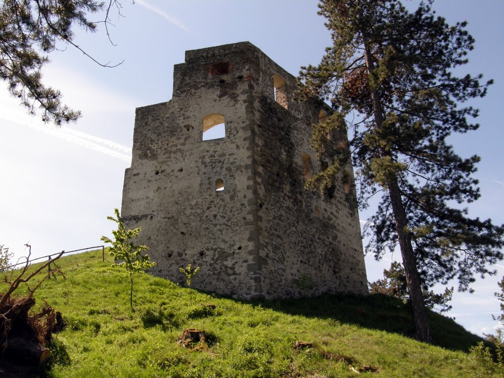 Hrad Dobrá Niva by Ladislav Haraksim