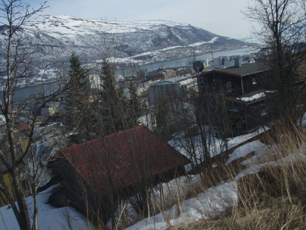 In Tromsö by thomasmue