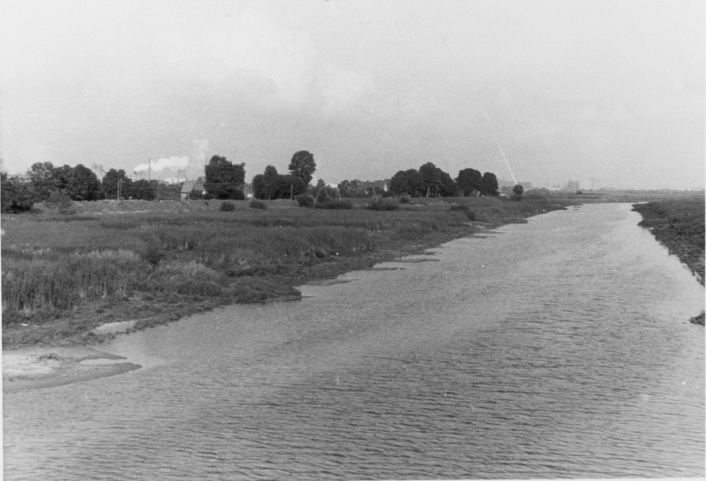 Altenwerder 1962 - Alte Süderelbe mit Süderdeich kurz nach der Abdeichung der Süderelbe by K-D Heinrich