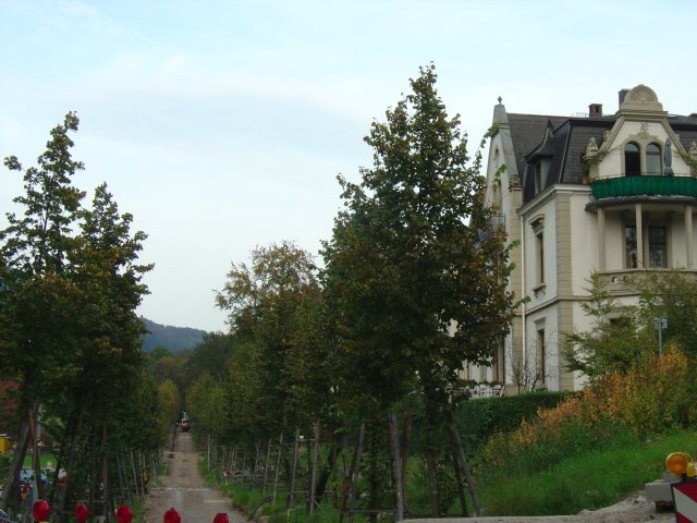 Mansões elegantes, Baden Baden, Alemanha by Lourival Gonçalves d…