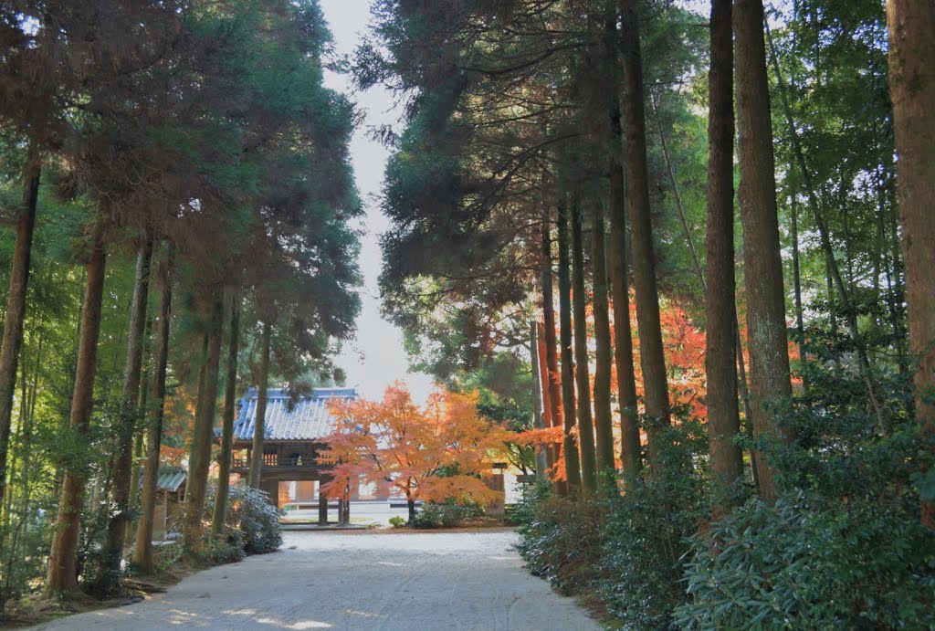 霊鷲寺参道 The approach to Ryojuji Temple by titanium22