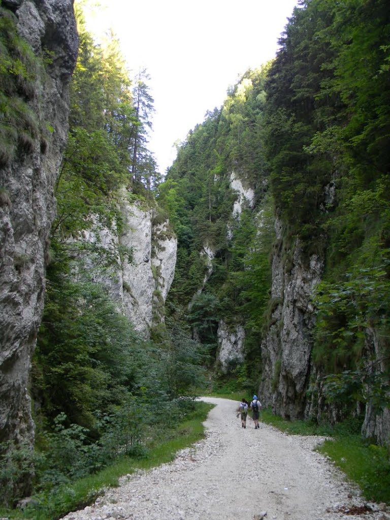 Prăpăstiile Zărneștilor, Piatra Craiului by Annelise L  Floroian