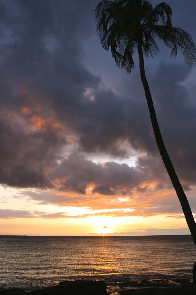 A Bay sunset by David Dryer