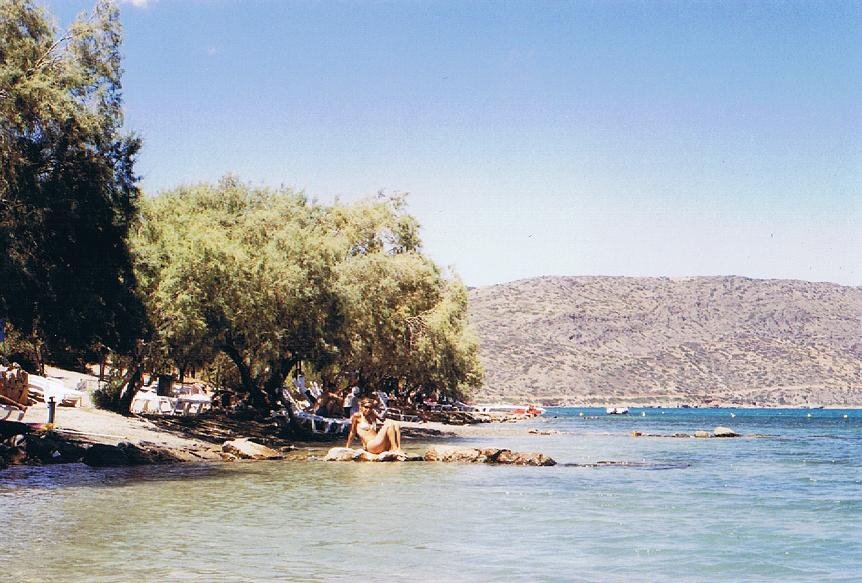 Ulivi vicino Spinalonga by Ciro Cardone