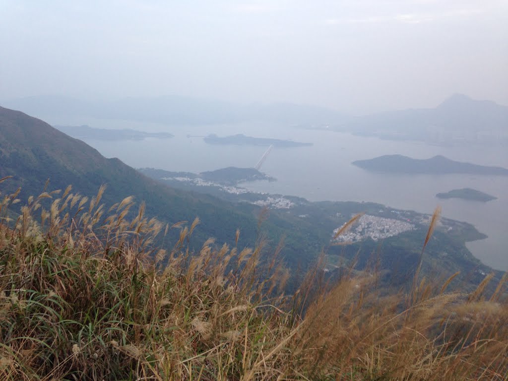 Pat Sin Leng, Hong Kong by wells chang