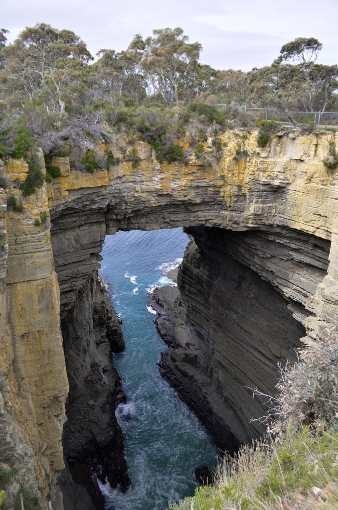 Tasman Arch. by GasGasL€X