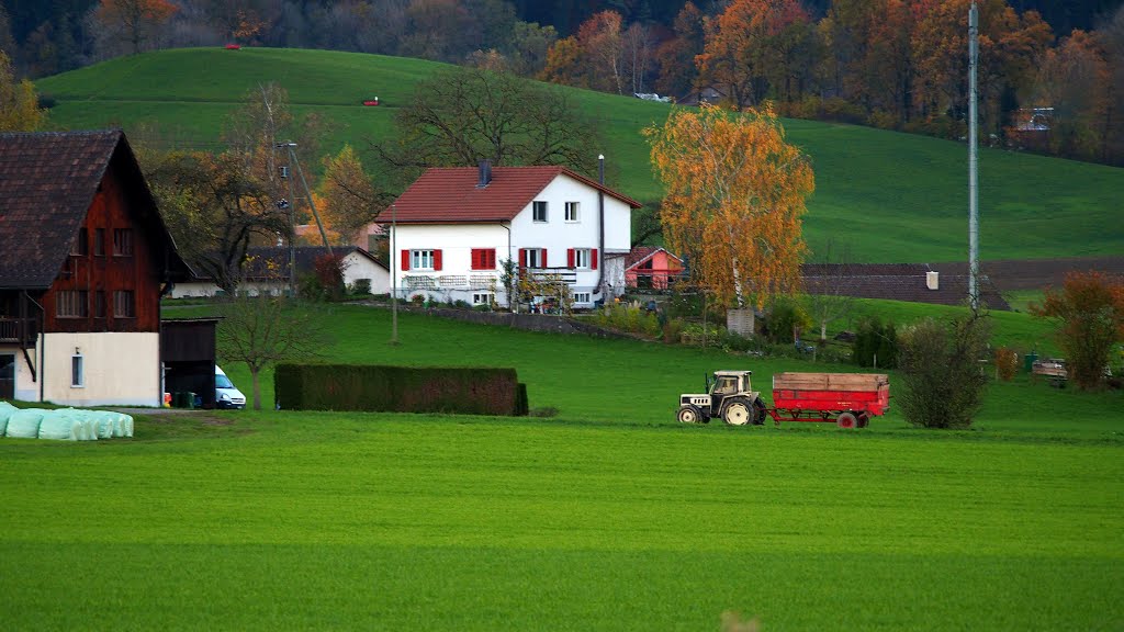 Herbst farben 9.11.2013 by bruno lauper