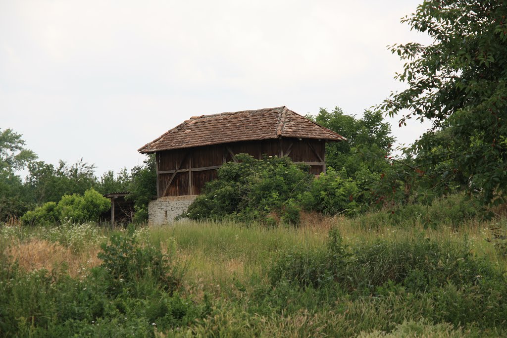 Babarcszőlős régi pajta by aesopus