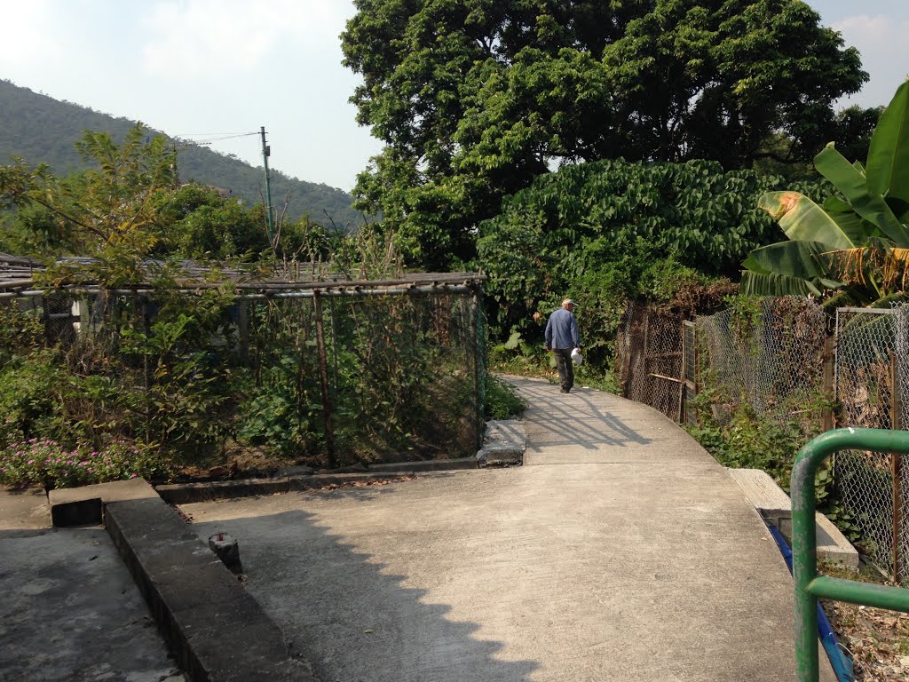 Lantau Island, Hong Kong by wells chang