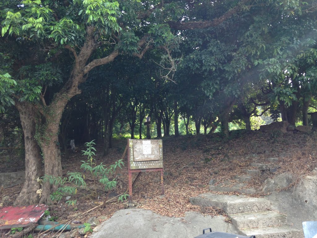 Lantau Island, Hong Kong by wells chang