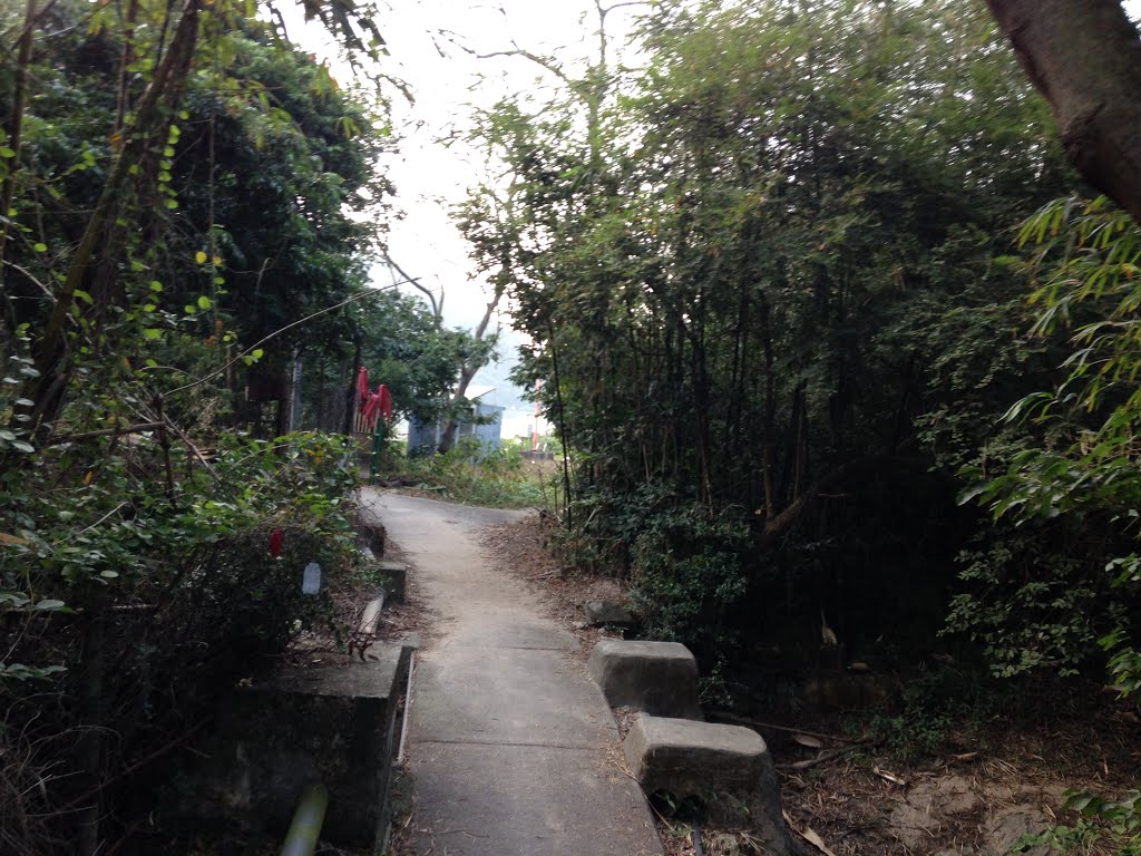 Lantau Island, Hong Kong by wells chang