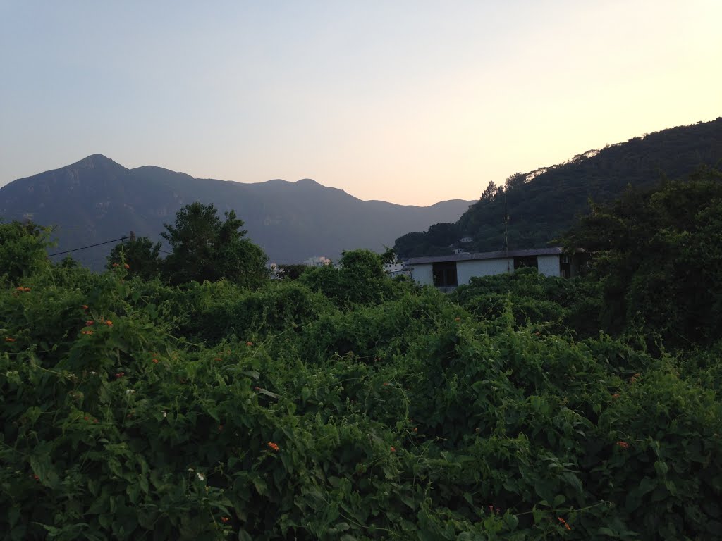 Tai O, Hong Kong by wells chang