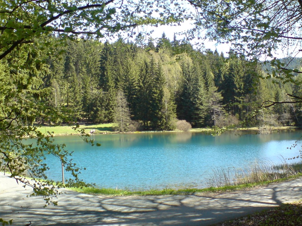 Floßteich in der Landesgemeinde by Bergwanderverein