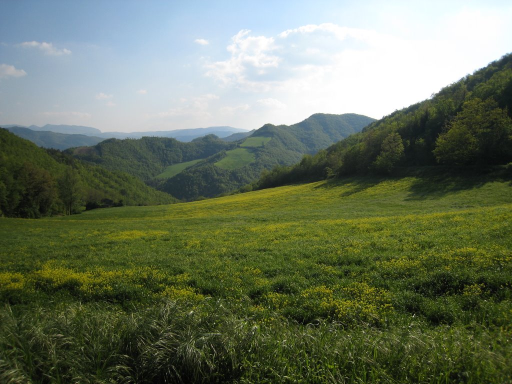 Montalto, panorama by gi-giskard