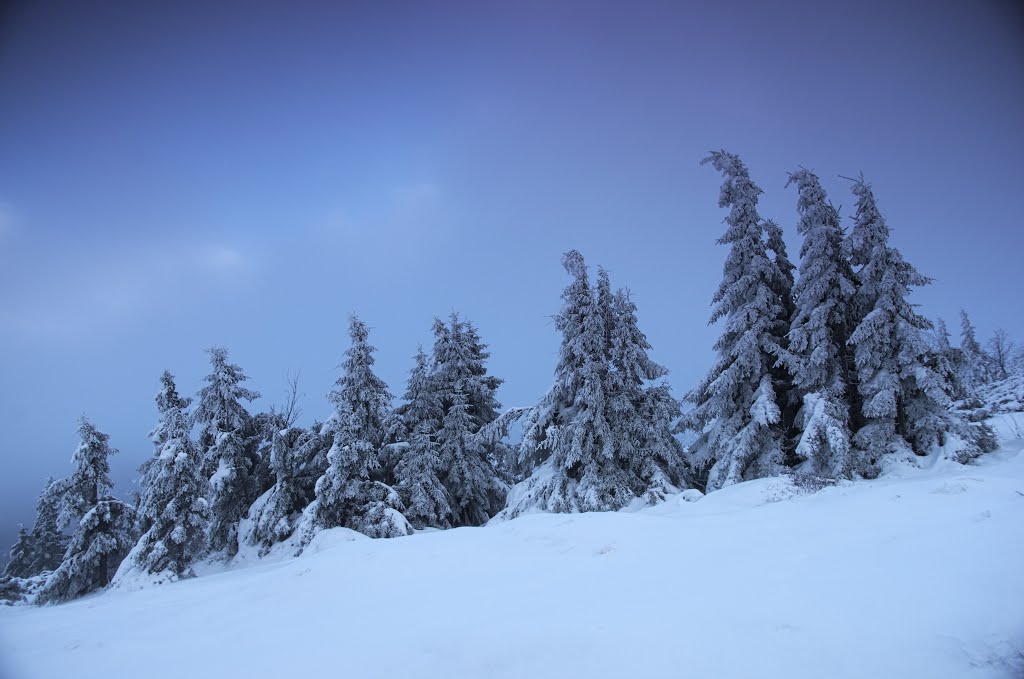 Snow trees near Strzecha Akademicka by Aleksander Kwiatkows…