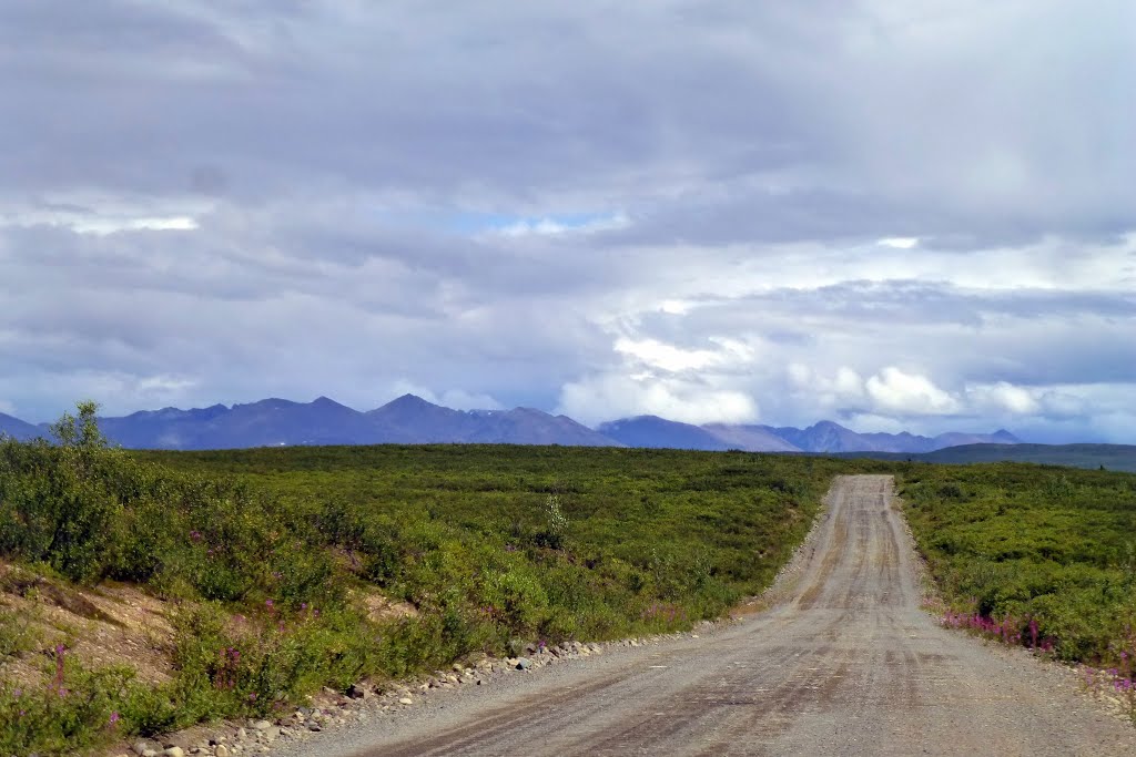 Denali Highway, Alaska by ZIPP