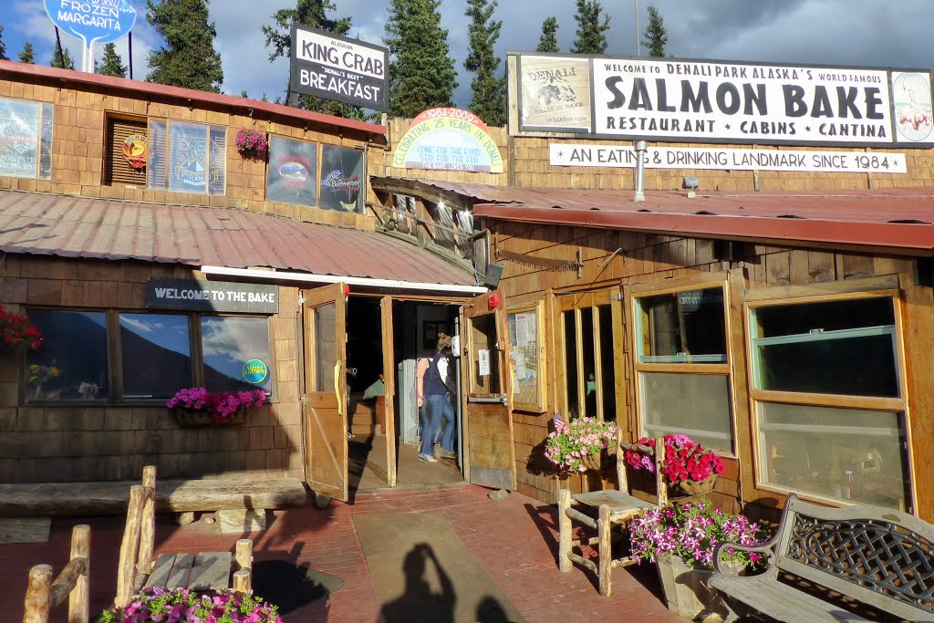 Shopping area outside Denali NP, Alaska by ZIPP