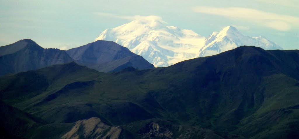 McKinley from Healy Overlook Trail, Denali NP, Alaska by ZIPP