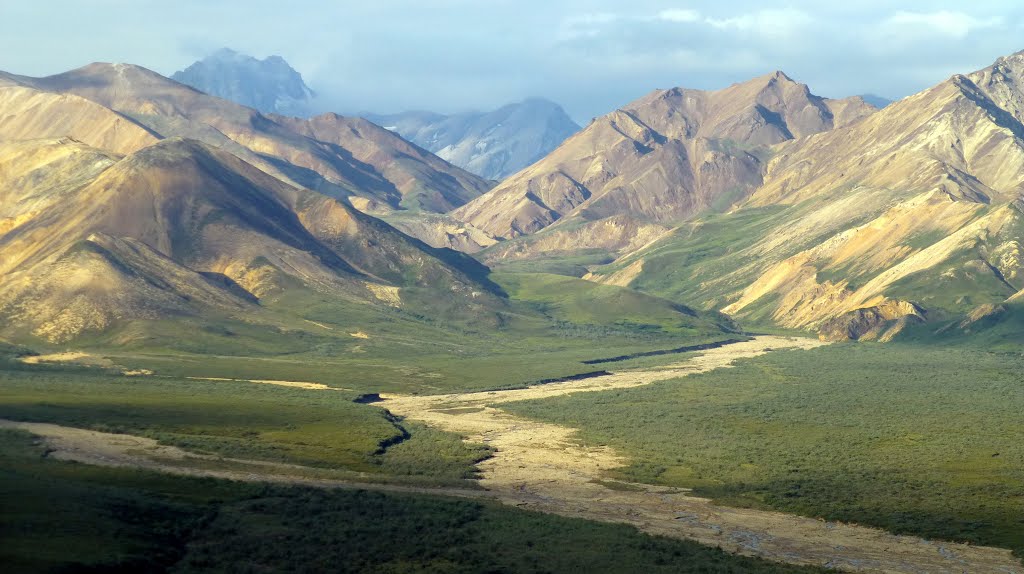 At Polychrome Pass, Denali NP, Alaska by ZIPP