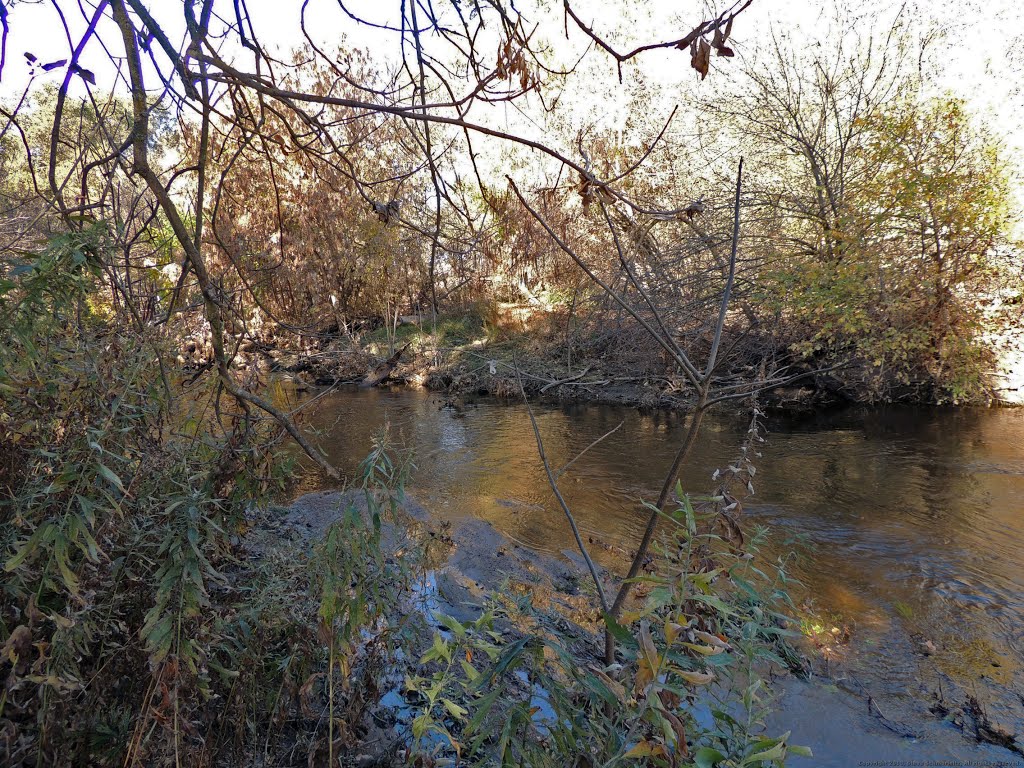 Dry Creek Waters by Steve Schmorleitz