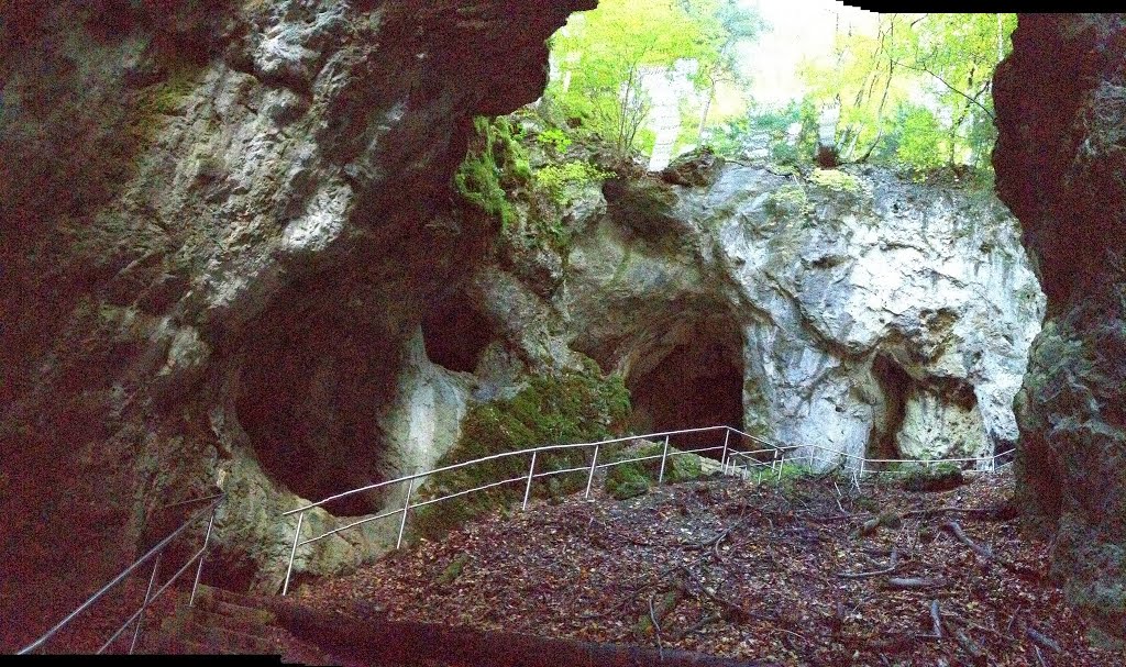 Duitsland - bayern - franken - oberfranken - fränkische schweiz - engelhardsberg - riesenburg versturzhöhle by Ed Bruynzeels