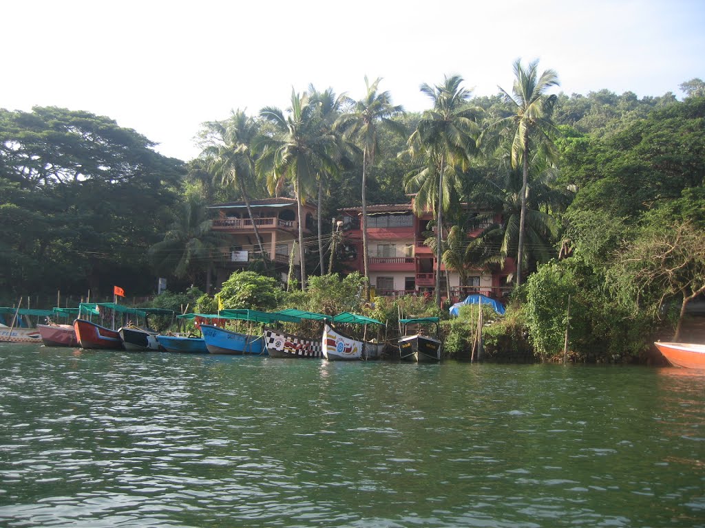 Bardez, Goa, India by Tatiana Andreeva