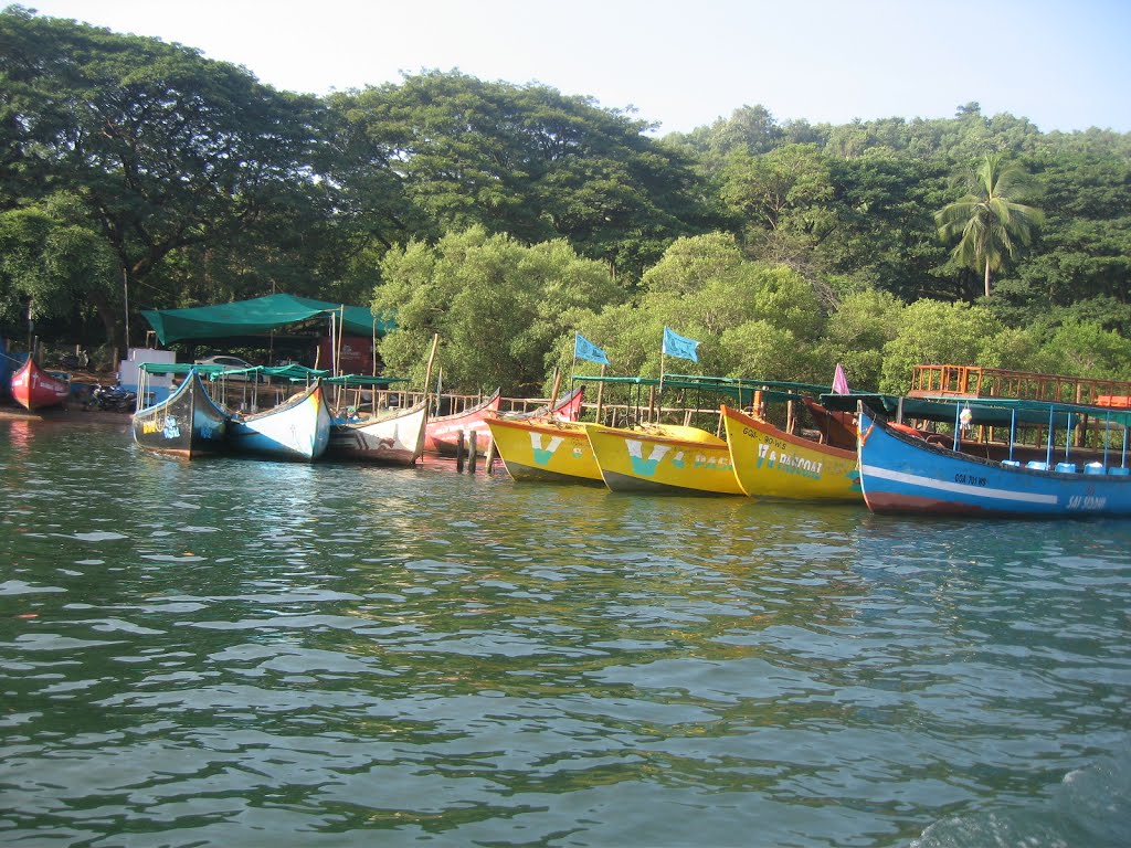 Nerul, Goa, India by Tatiana Andreeva