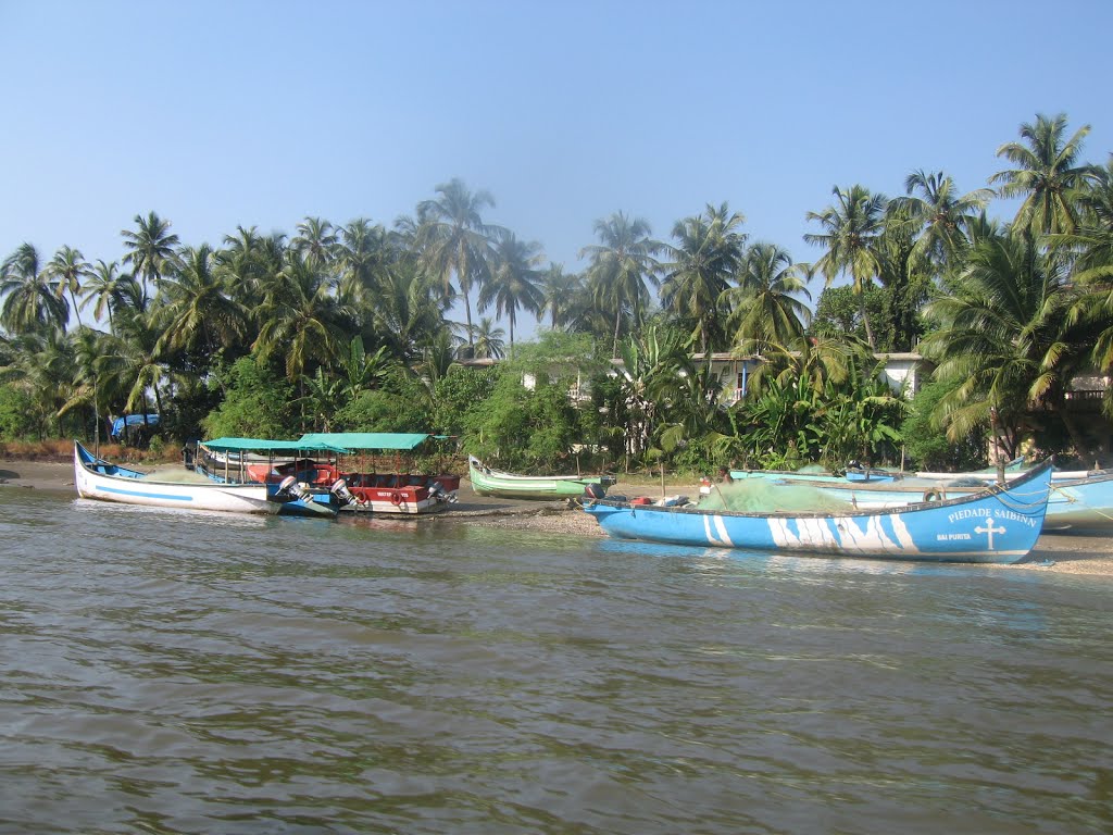 Bardez, Goa, India by Tatiana Andreeva