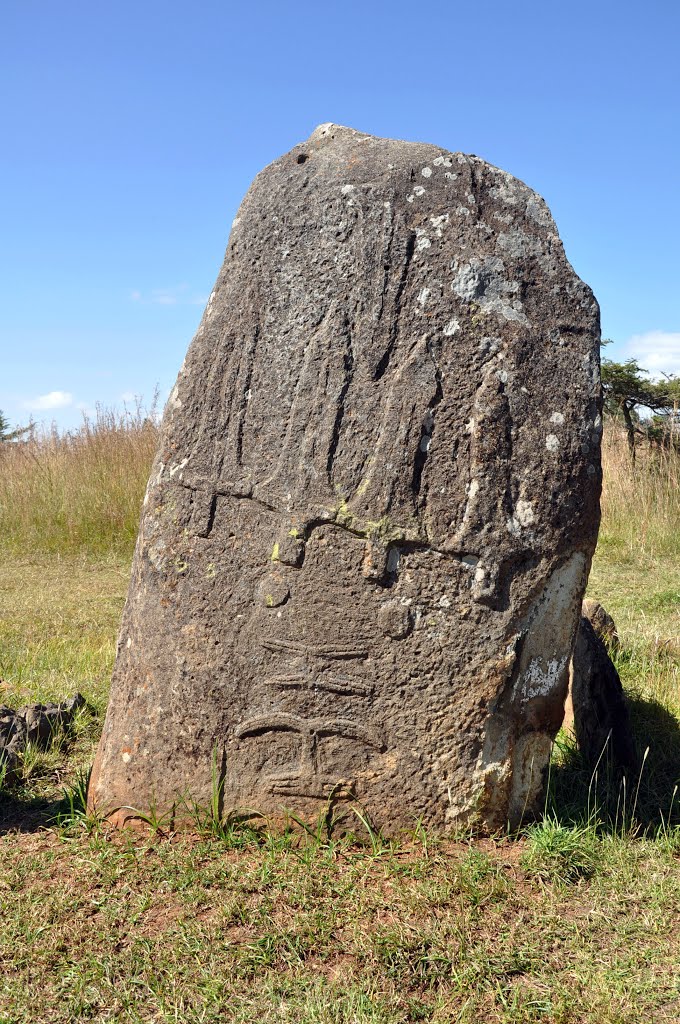 Ethiopia, Tiya, Stelae UNESCO World Heritage Site by stefanoabdou