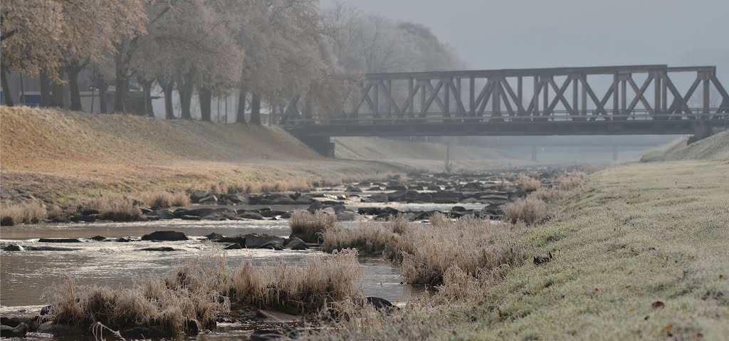 Nebel und Reif by Armin Heppner