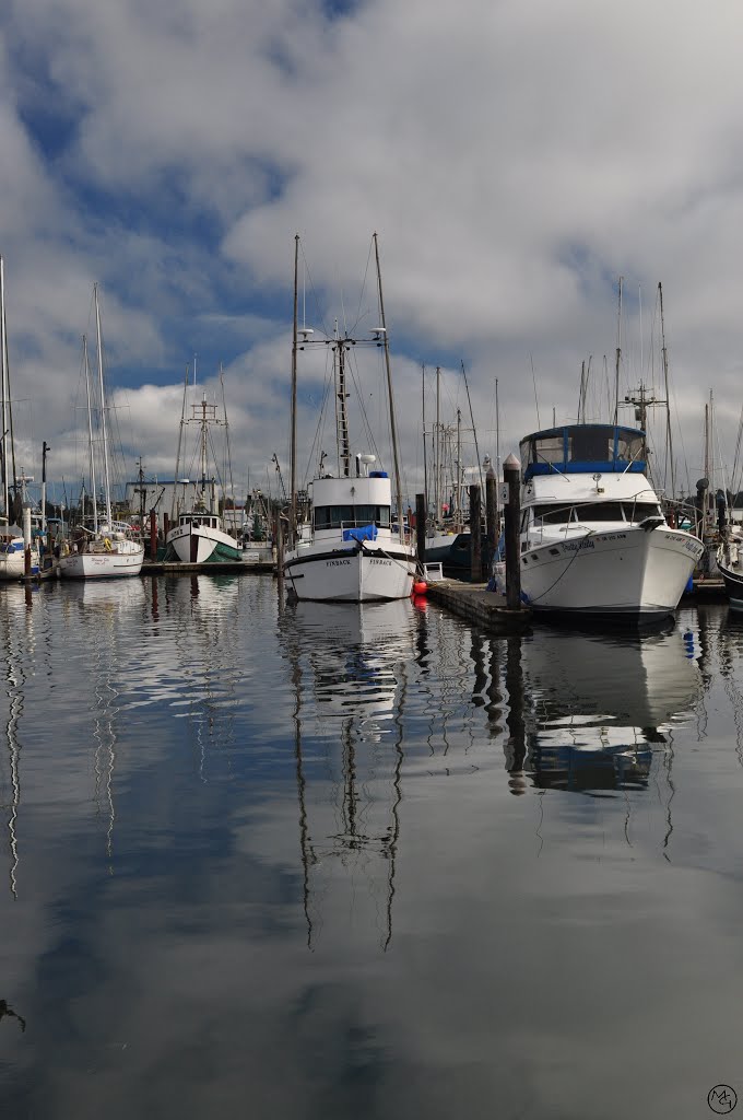 Charleston Boat Basin by Mike Goff