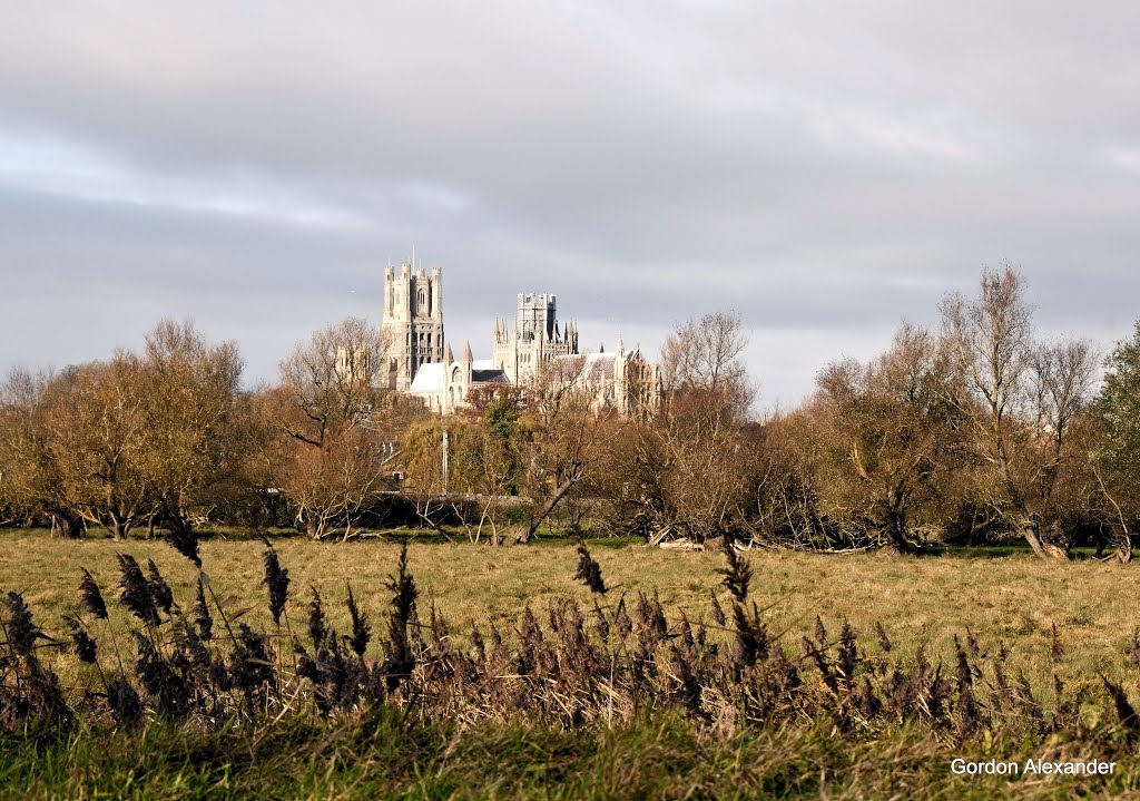 Ely Cathedral, Cambridgeshire by Gordon Alexander