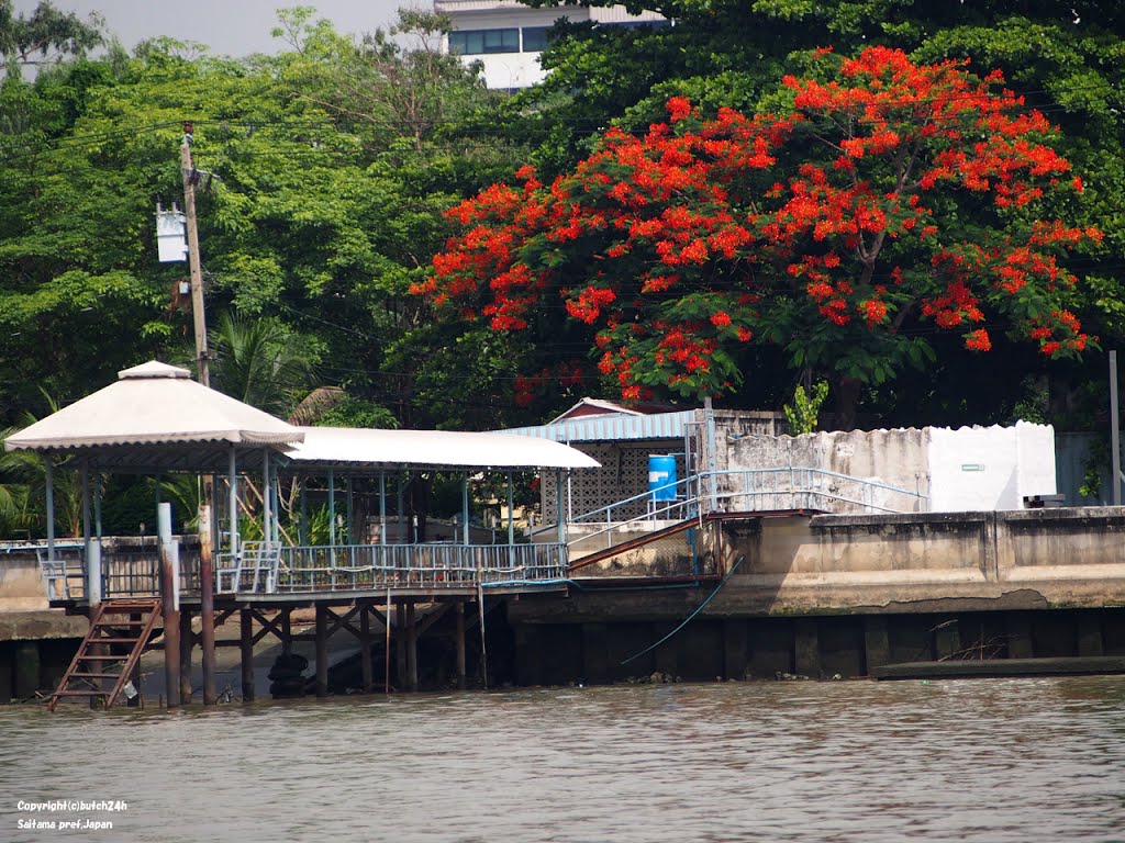 チャオプラヤ川 / Riv.Chao Phraya by butch24h