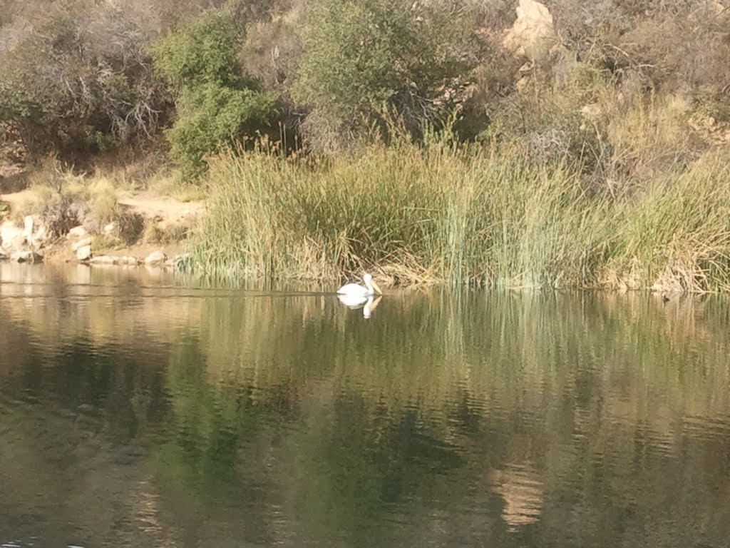 Daley Ranch, Escondido, CA, USA by nesanis