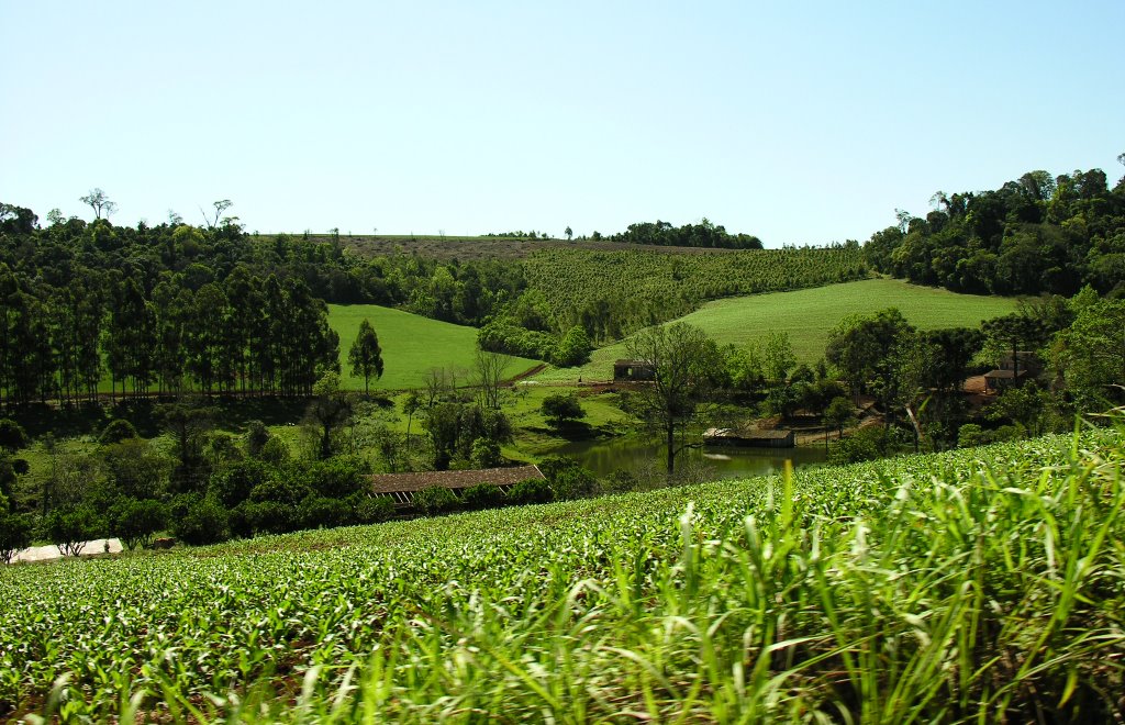 Cenário Rural(Caxambu do Sul SC.) by Erico Christmann