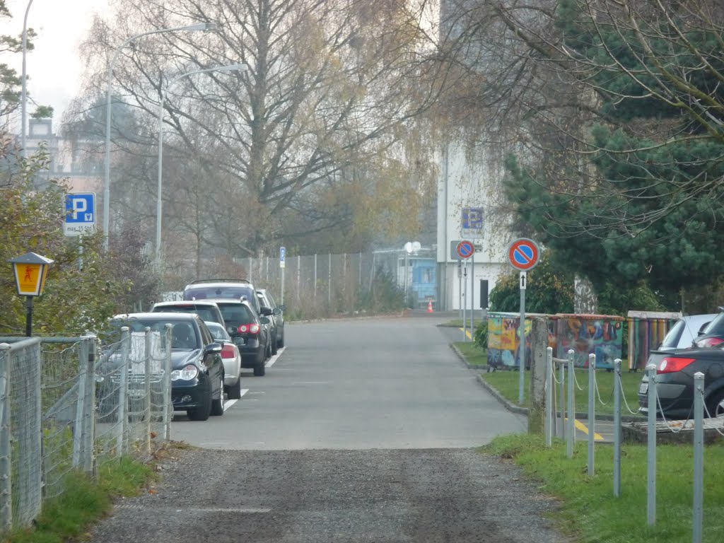 Bohnackerstrasse Dietikon by bienenritter